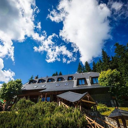 Horsky Hotel Vidly Karlova Studánka Eksteriør billede