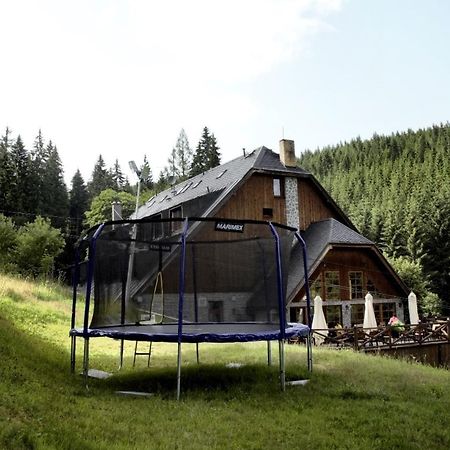 Horsky Hotel Vidly Karlova Studánka Eksteriør billede