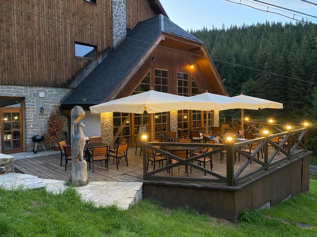 Horsky Hotel Vidly Karlova Studánka Eksteriør billede