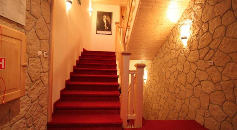 Horsky Hotel Vidly Karlova Studánka Eksteriør billede