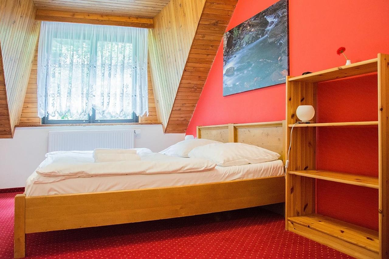Horsky Hotel Vidly Karlova Studánka Eksteriør billede