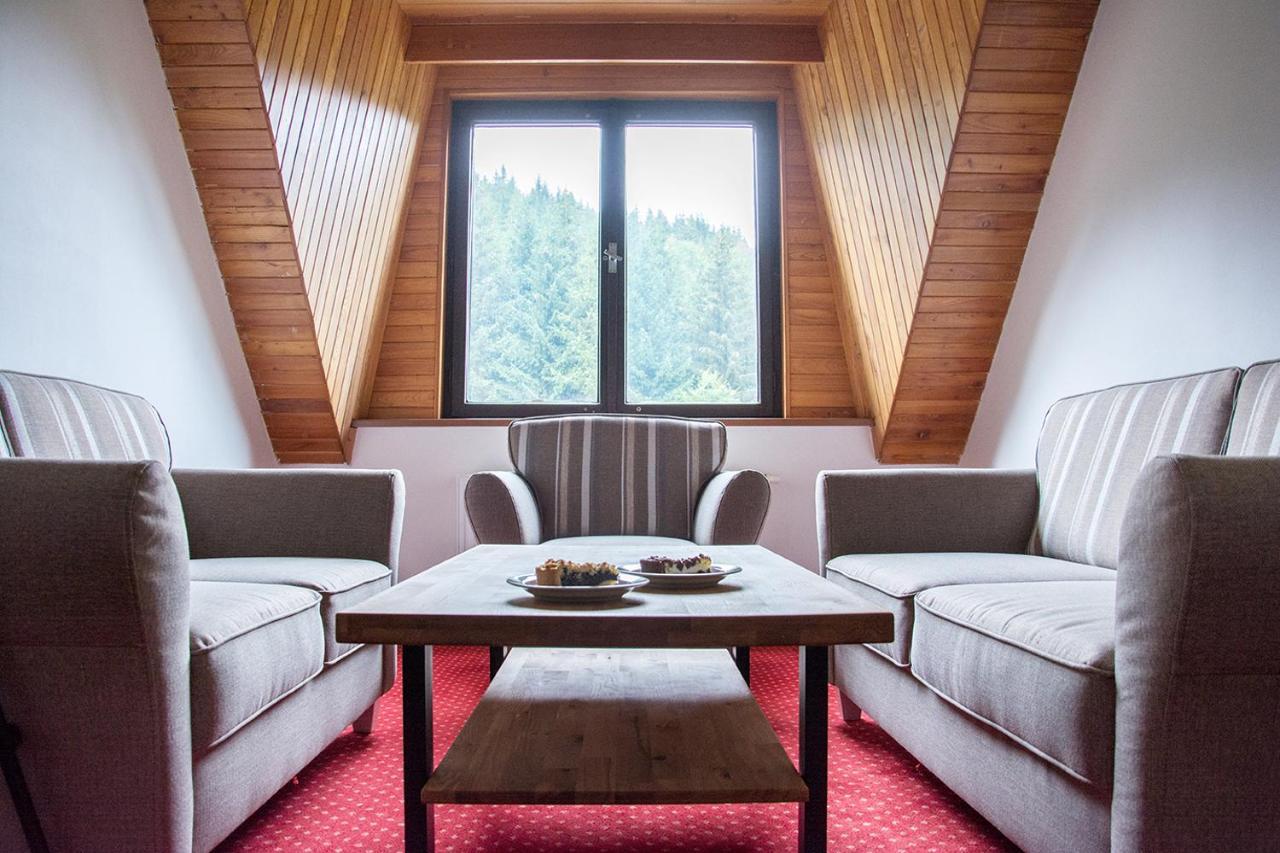 Horsky Hotel Vidly Karlova Studánka Eksteriør billede