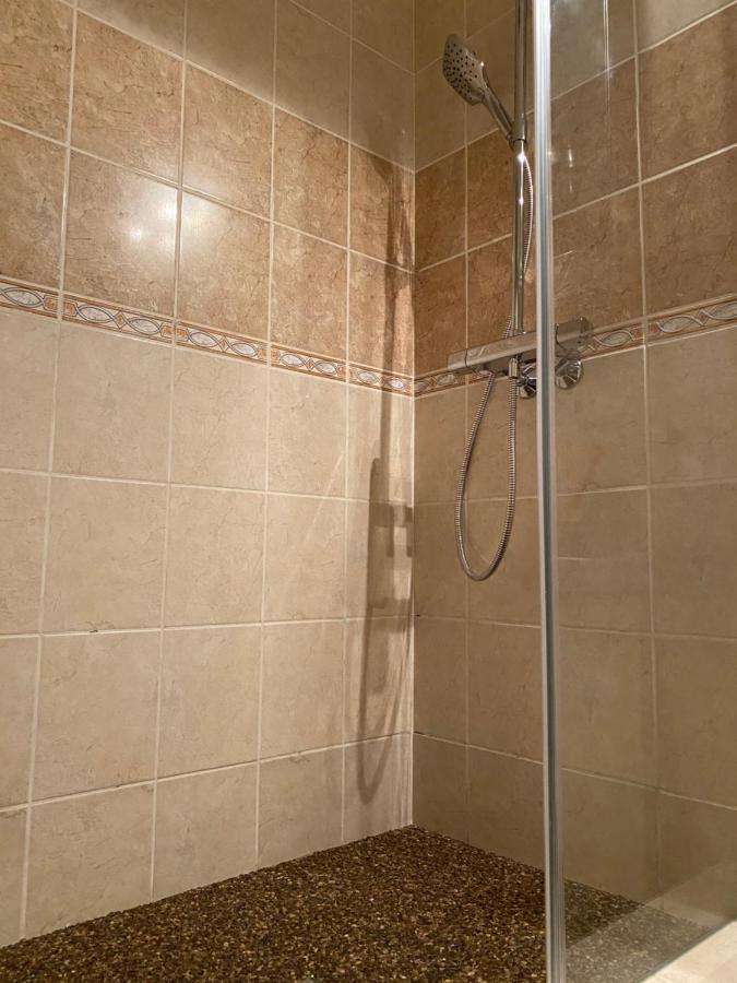Horsky Hotel Vidly Karlova Studánka Eksteriør billede